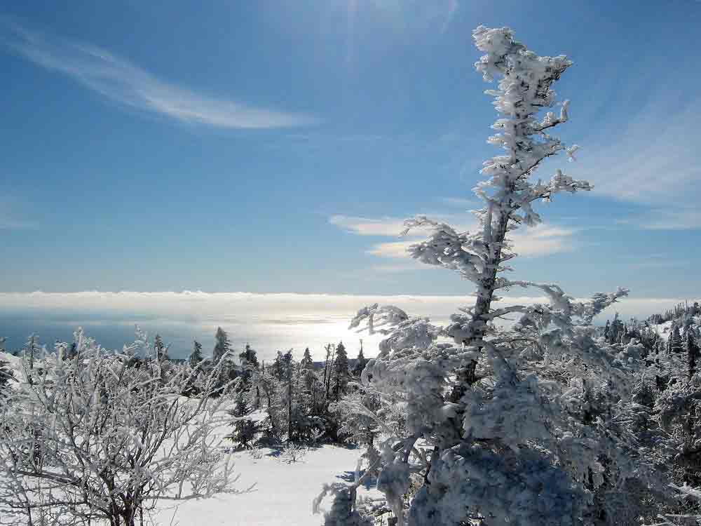 Acadia national park