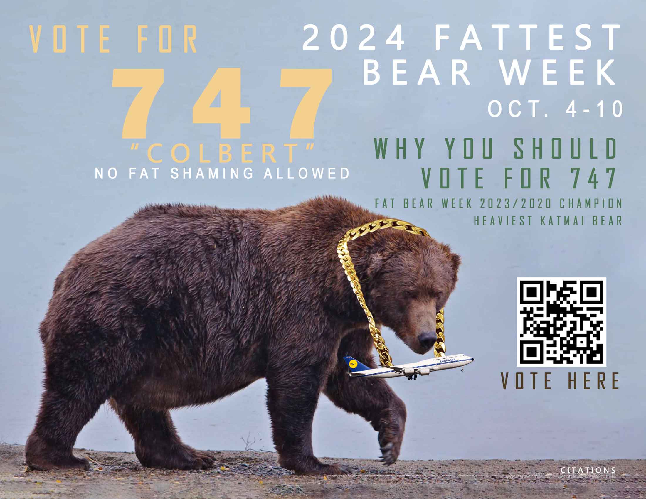 A poster advertising to vote for the 747 Katmai Bear
