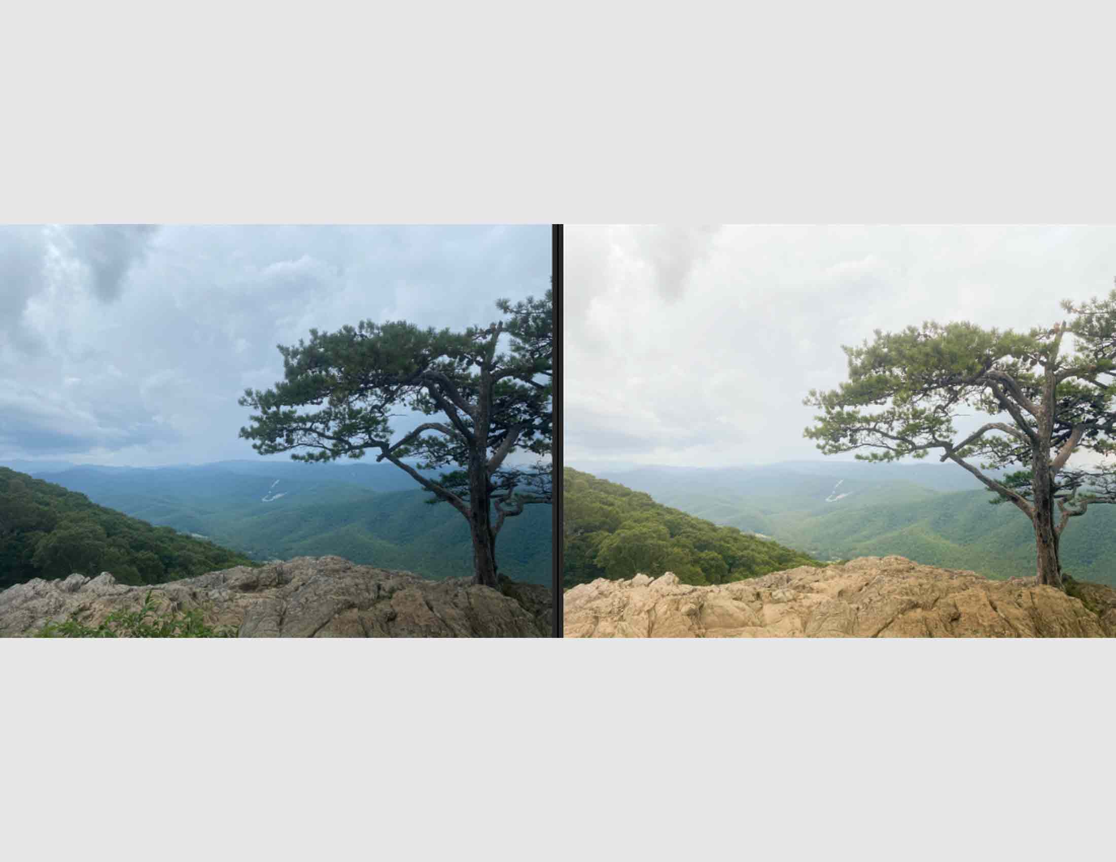 A before and after of Camera Raw Filter modifications to an image of scenery