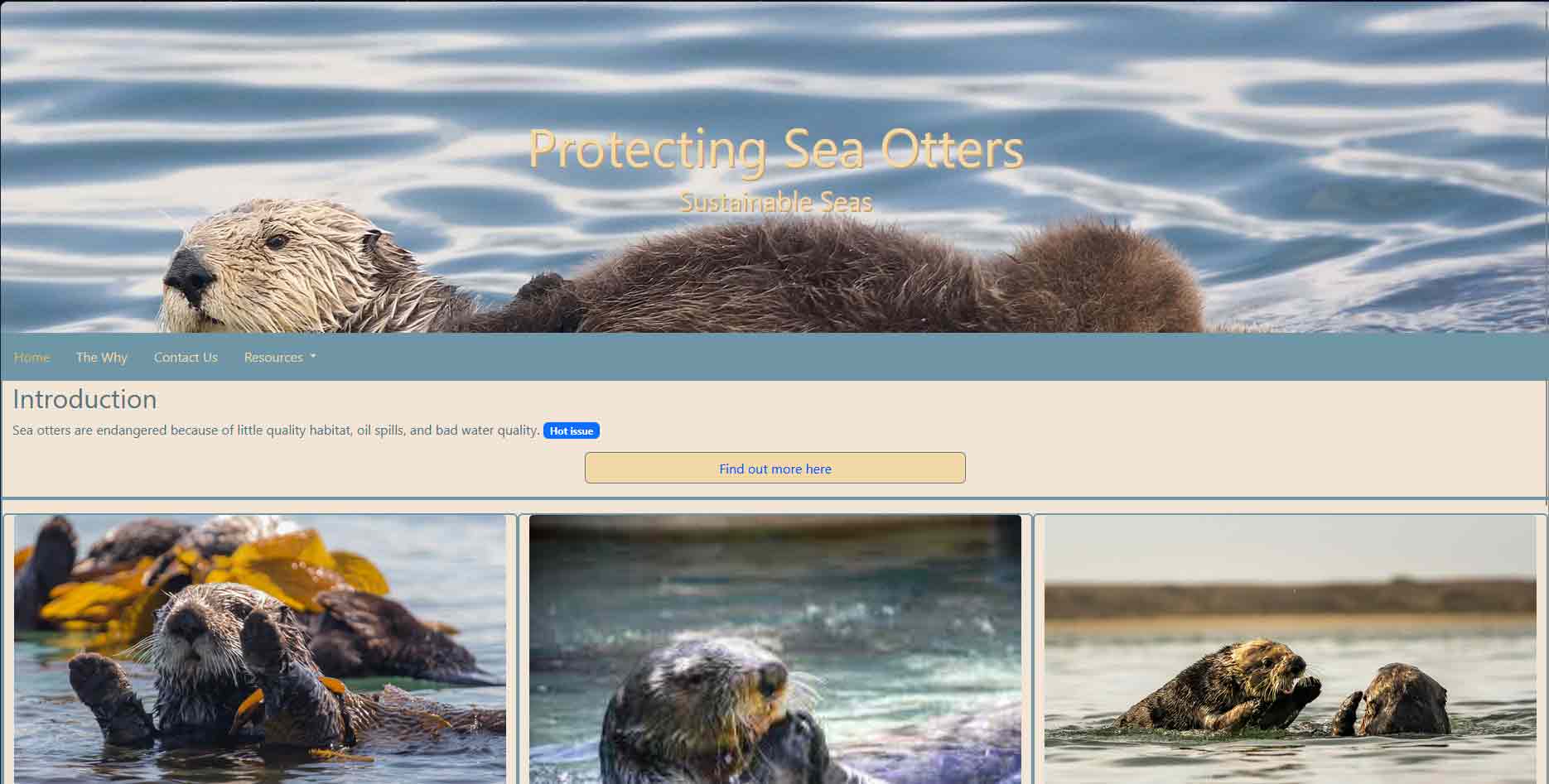 An image of the Sustainable Seas webiste