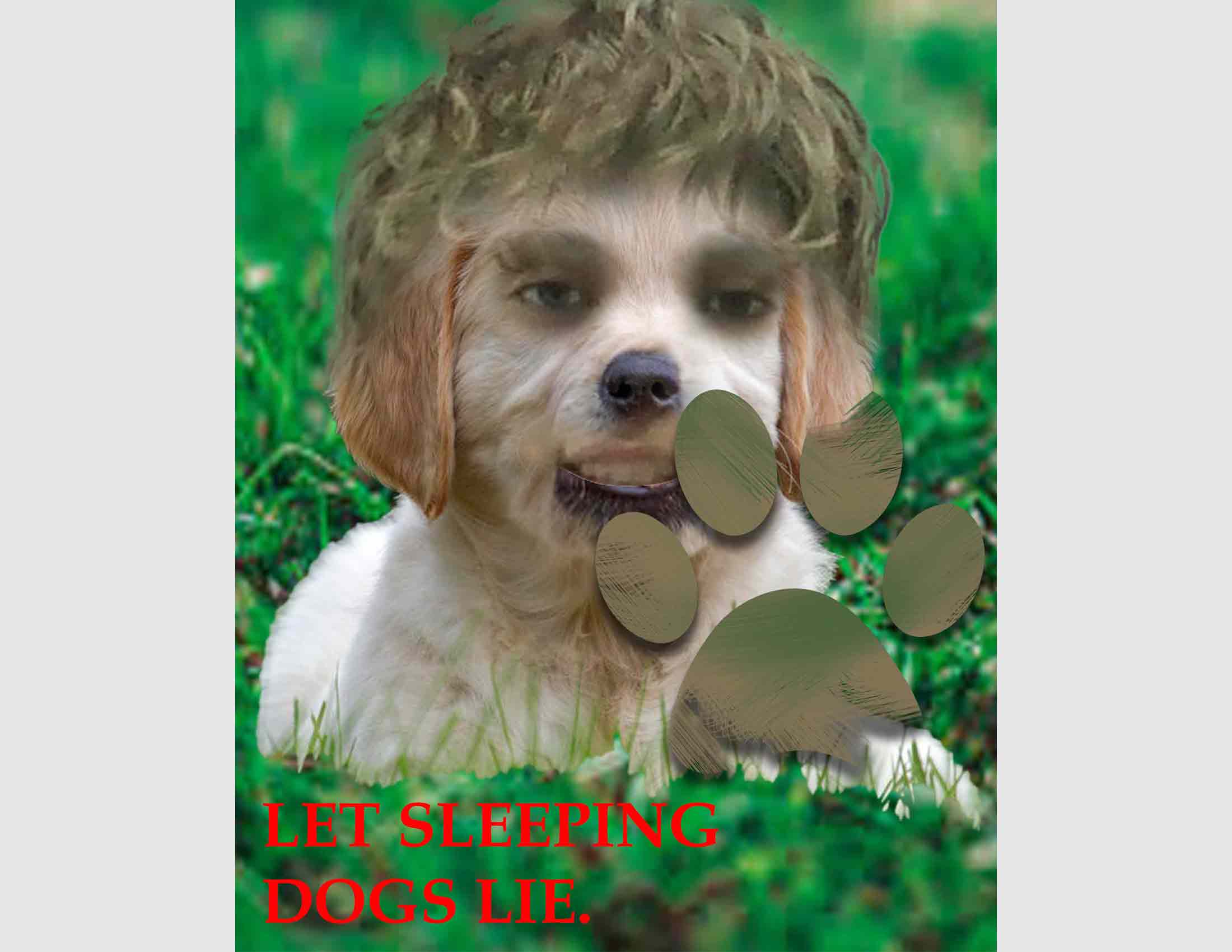An image of a dog morphed with myself